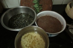 1 cup urad, 1 cup teff and 1 cup proso millet, soaked and ready to grind.